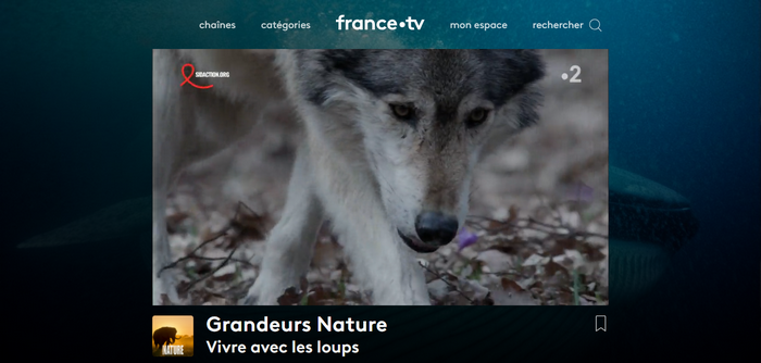 France TV - Après (Avec Surfshark VPN)