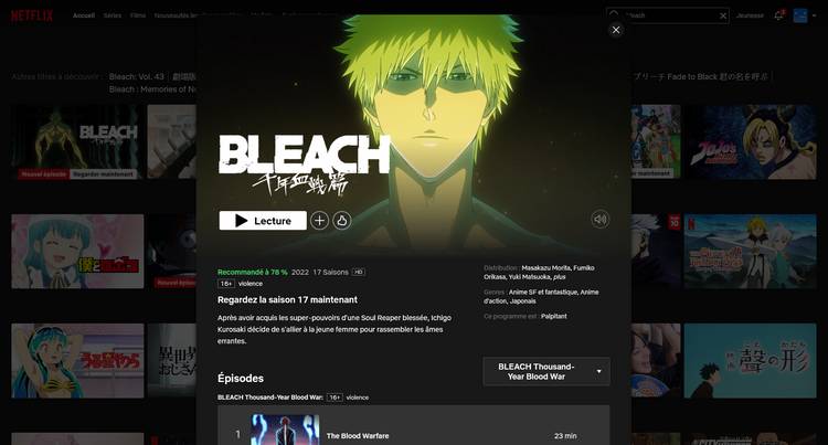 Bleach Thousand-Year Blood War sur Netflix
