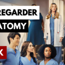 Comment regarder Grey's Anatomy Saison 19 sur Netflix en France