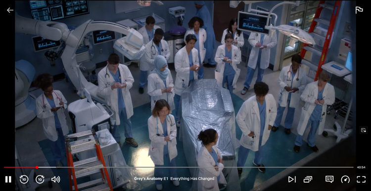 Regarder Grey's Anatomy Saison 19 sur Netflix