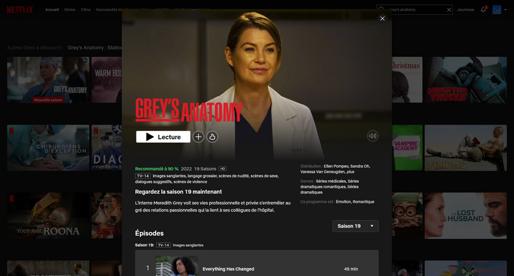 Grey's Anatomy Saison 19 sur Netflix