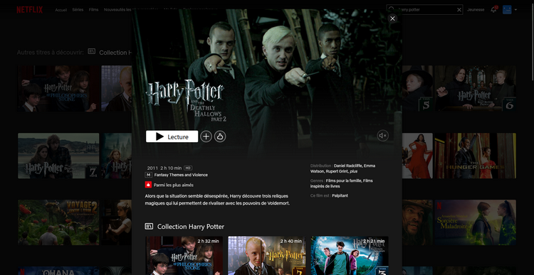 Harry Potter sur Netflix