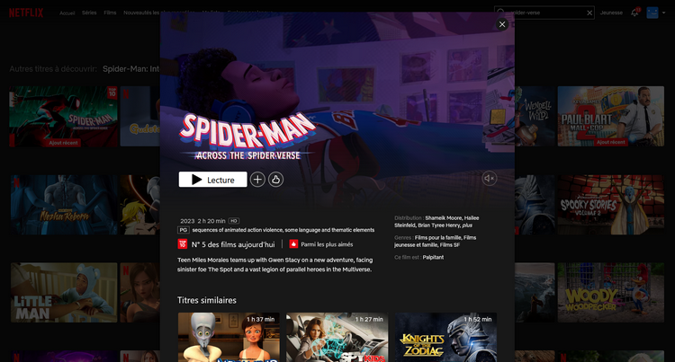 Spider-Man : Across the Spider-Verse sur Netflix